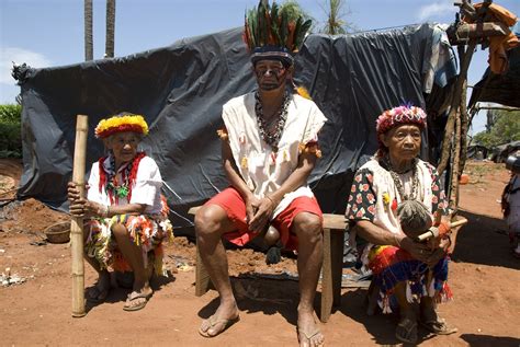 Den mystiska försvinnandet av en Guarani-stam från Amazonas i 1300-talet: En studie om kulturell utbyte och kollapsen av det gamla världssystemet